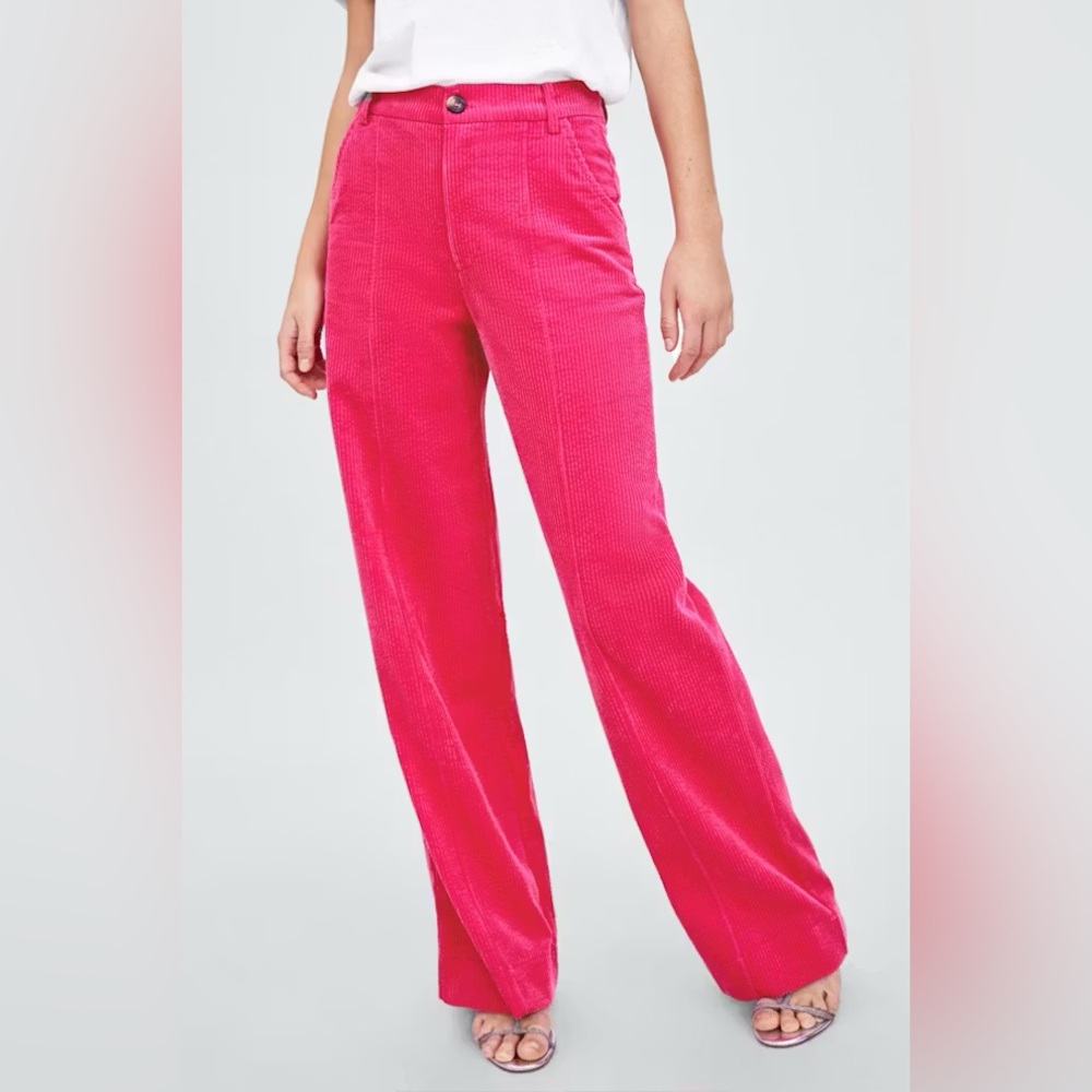 Zara Velveteen Pants